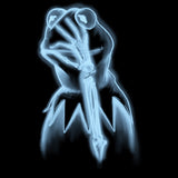 Kermit X-Ray Kids Tee